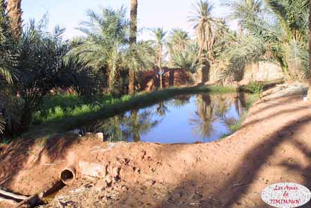 Zoomer sur l'image : 08 Majen ou bassin de retenue d'eau à l'entrée d'un jardin